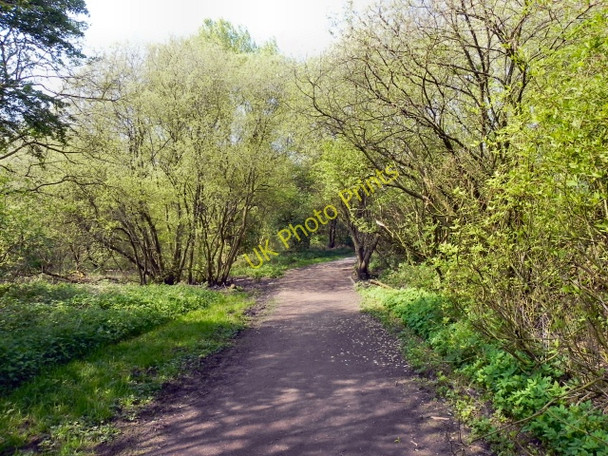 Photo 6"x4" Pennington Flash Country Park Leigh\/SD6500 c2011