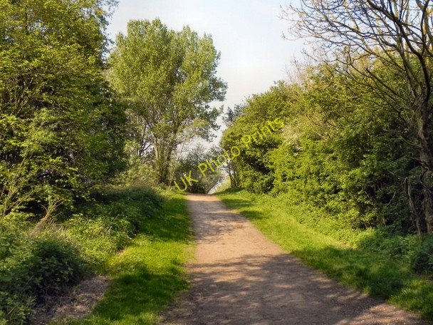 Photo 6"x4" Pennington Flash Country Park Leigh\/SD6500 c2011 P1