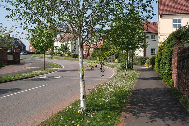 Photo 6"x4" Cotford St Luke: main road cOTFORD ST LUKES c2011