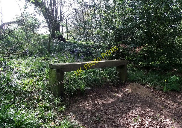 Photo 6"x4" Seat by the path Biddulph c2011