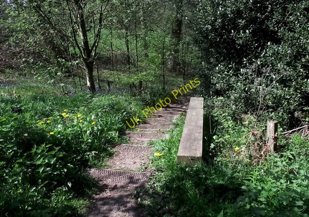 Photo 6"x4" Top of the steps Biddulph c2011