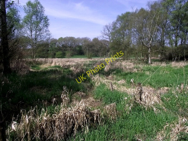 Photo 6"x4" Boggy land Biddulph c2011