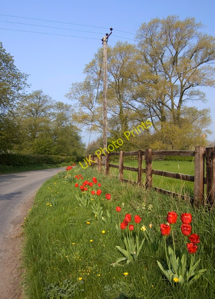 Photo 6"x4" Driffield Road, Skerne Skerne c2011