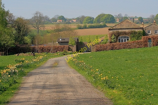 Photo 6"x4" Lane to Hartforth Saw Mill Hartforth c2011