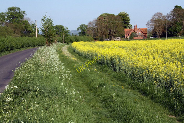 Photo 6"x4" Hithercroft Farm, Hithercroft Road and a rape field Wallingford c2011