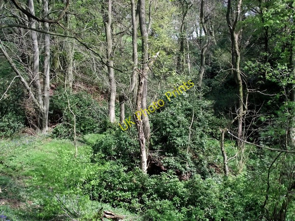 Photo 6"x4" Looking into the valley Biddulph c2011