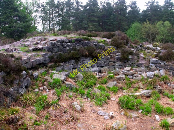 Photo 6"x4" Tappoch Broch Torwood\/NS8484 c2011