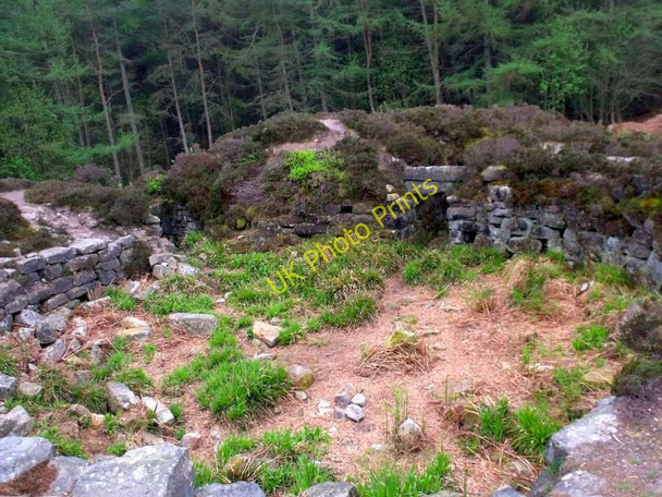 Photo 6"x4" Tappoch Broch Torwood\/NS8484 c2011