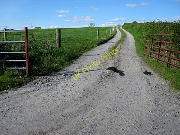 Photo 6"x4" Laneway and Field Ballyfoyle c2011