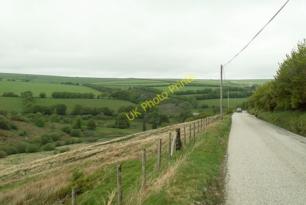 Photo 6"x4" Road along the valley of the River Barle Simonsbath c2007