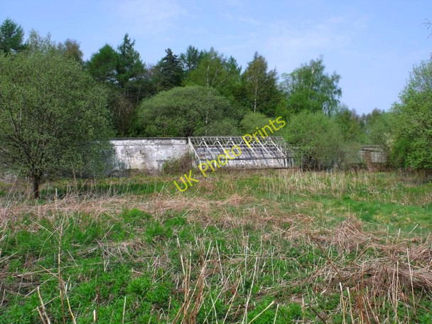 Photo 6"x4" Larbert House Estate North Broomage c2011