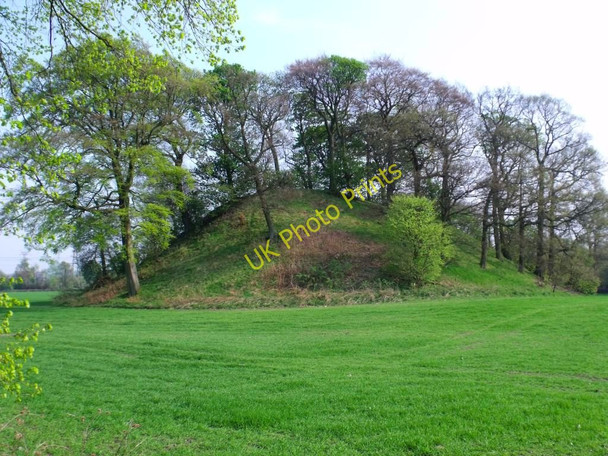 Photo 6"x4" The Hills of Dunipace Bonnybridge c2011