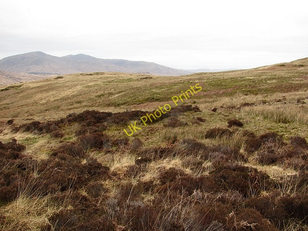 Photo 6"x4" Moorland, Laggan Deer Forest Croggan c2011