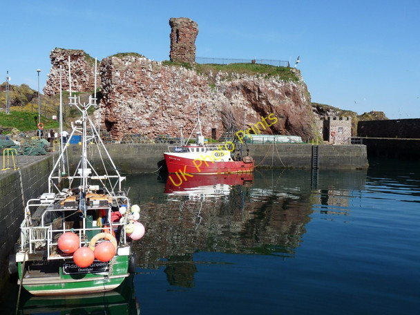Photo 6"x4" Dunbar Harbour and Kittiwake Colony Dunbar c2011