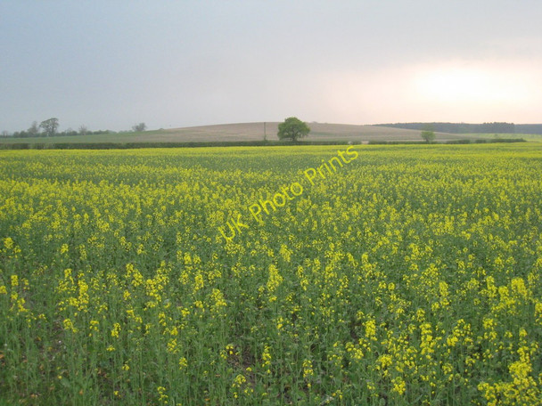 Photo 6"x4" View towards Mill Hill North Willingham c2011
