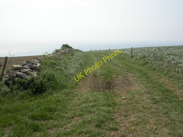 Photo 6"x4" St. Aldhelm's Head, farm track Worth Matravers c2011