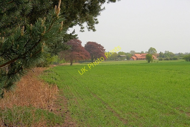 Photo 6"x4" Hardmoor Farm Wheldrake c2011