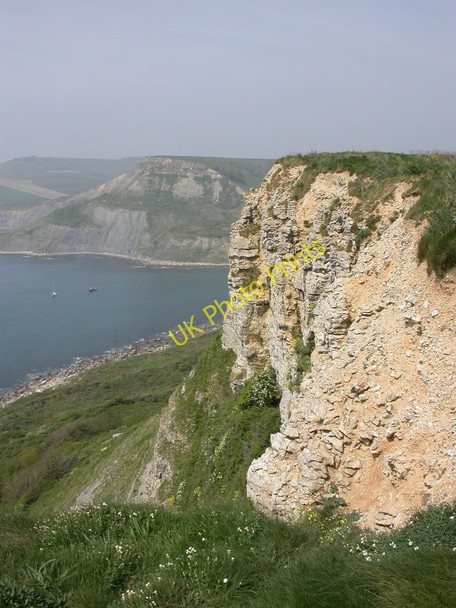Photo 6"x4" Emmetts Hill, cliffs Worth Matravers c2011