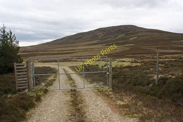 Photo 6"x4" Forestry Gate Scaut Hill\/NJ3331 c2011