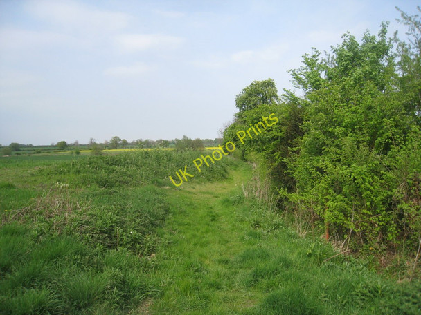 Photo 6"x4" Elsham Lane at Kingerby Kingerby c2011