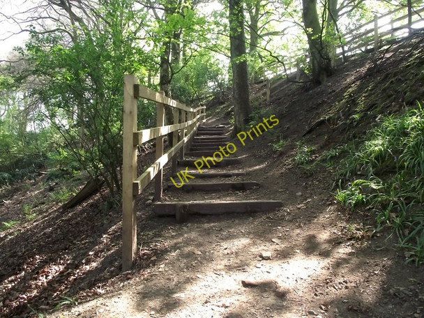 Photo 6"x4" Up the steps Biddulph c2011