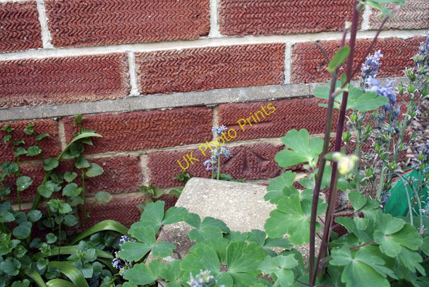Photo 6"x4" Benchmark on #46 Coley Avenue Reading c2011