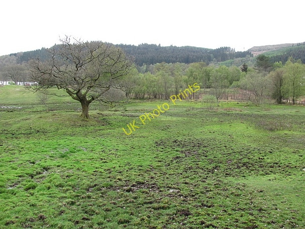 Photo 6"x4" Wetland pasture, Kinlochard Kinlochard c2011