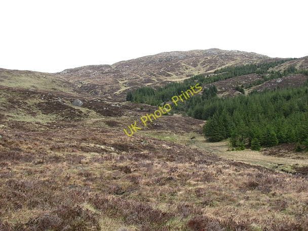 Photo 6"x4" Allt Tairbh Kinlochard c2011