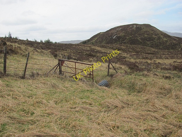Photo 6"x4" Gate beneath Beinn Chochan Kinlochard c2011