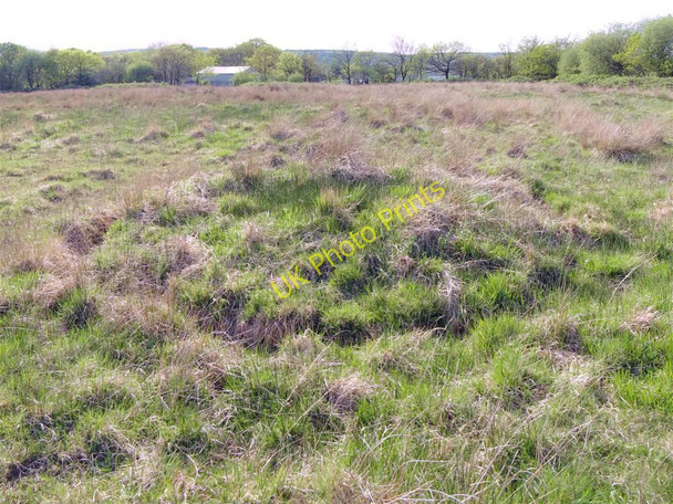 Photo 6"x4" Centre mound of Y Naw Carreg stone circle Capel Hendre c2011