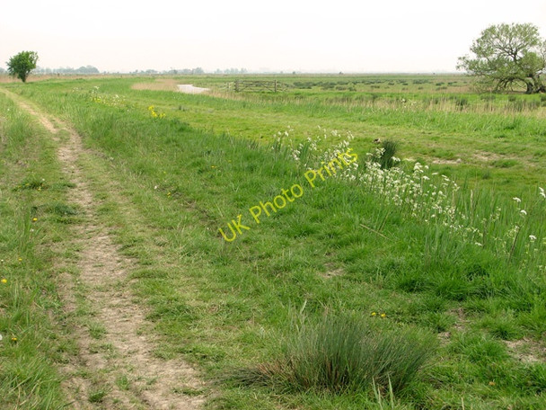 Photo 6"x4" Track along Halvergate Fleet Halvergate c2011