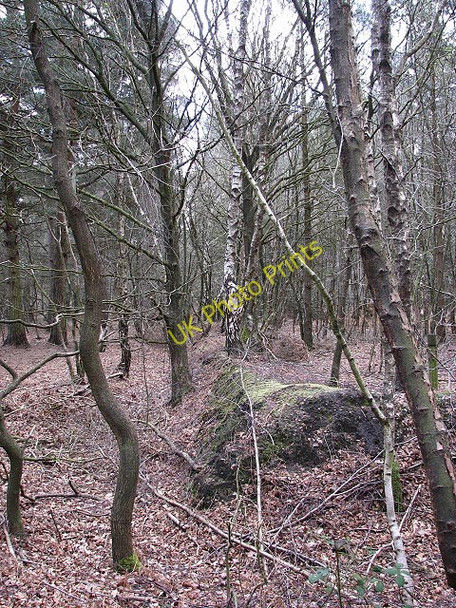 Photo 6"x4" Beside footpath Little London\/TG1823 c2008