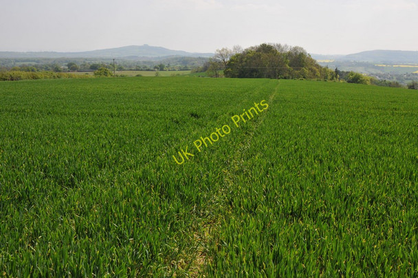 Photo 6"x4" View south from Perrystone Hill Perrystone Hill c2011