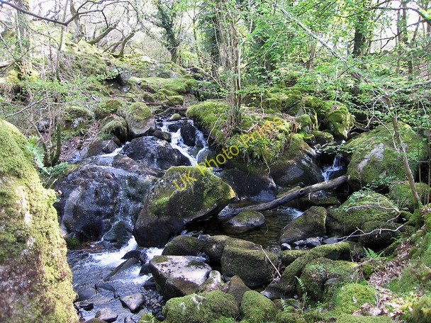 Photo 6"x4" Afon Arthog above the waterfalls Arthog c2011