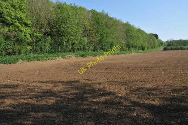 Photo 6"x4" Course of a dismantled railway Ewen c2011