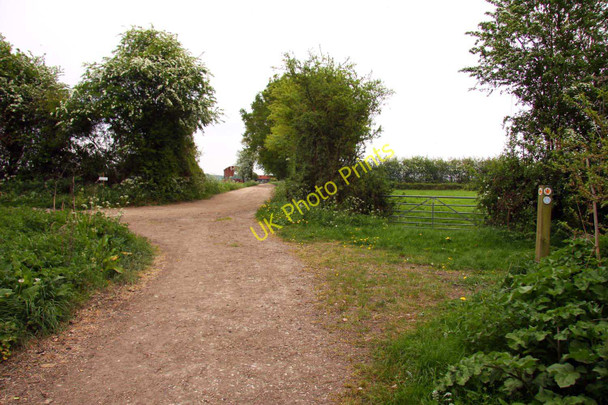 Photo 6"x4" Crossing of bridleways Marsh Baldon c2011