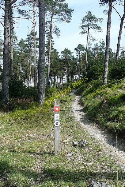 Photo 6"x4" Mountain bike trail in Grizedale Forest Haws Bank\/SD3096 c2011
