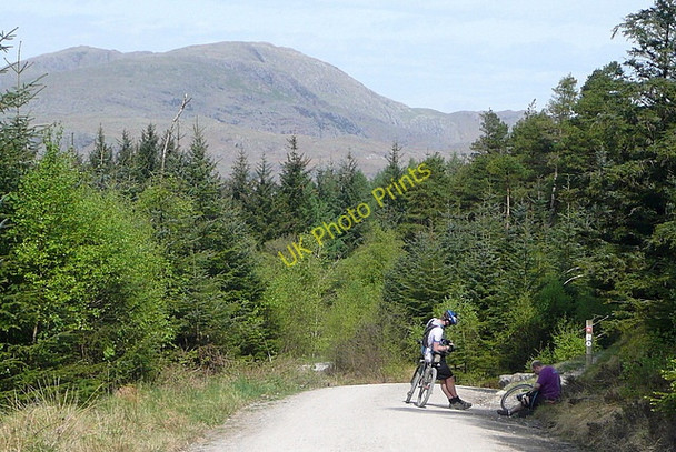 Photo 6"x4" Cyclists in Grizedale Forest Grizedale c2011