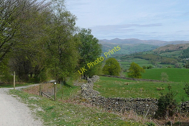 Photo 6"x4" View towards Hawkshead Roger Ground c2011