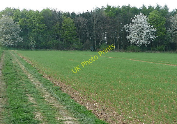 Photo 6"x4" Farmland west of Wootton St Lawrence Wootton St Lawrence c2011