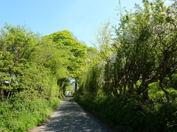 Photo 6"x4" Road northeast of Robinson's Farm Slaidburn c2011