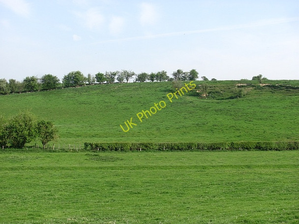 Photo 6"x4" Drumlin near Yarpole Bicton\/SO4663 c2011