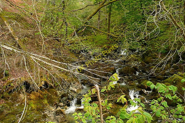 Photo 6"x4" View from Low Sweden Bridge Ambleside c2011