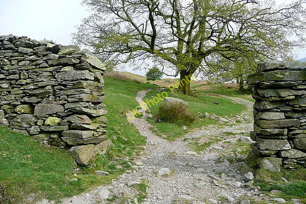 Photo 6"x4" Path towards Low Pike Ambleside c2011