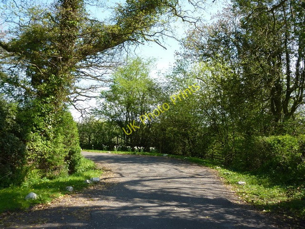 Photo 6"x4" Road to Skirden Forest Becks c2011