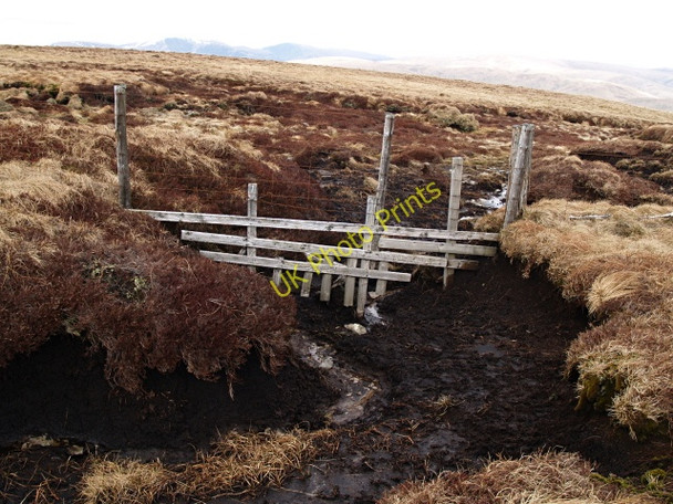 Photo 6"x4" Peat Hag and fence, Ettrick Pen Birnie Brae\/NT1909 c2008
