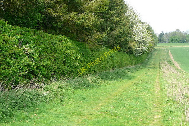 Photo 6"x4" Footpath towards Upper Wootton Upper Wootton c2011