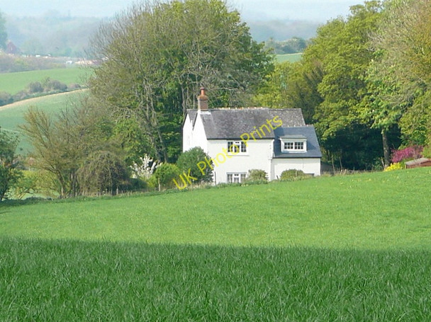 Photo 6"x4" Grassland at Upper Wootton Upper Wootton c2011