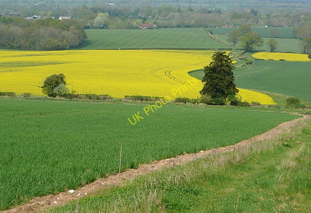 Photo 6"x4" Footpath towards Ramsdell Upper Wootton c2011