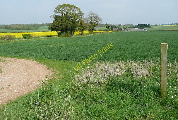 Photo 6"x4" Towards Lower Farm Ramsdell c2011